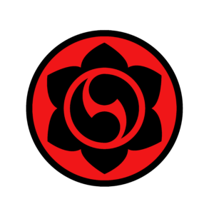 academia kung fu madrid
