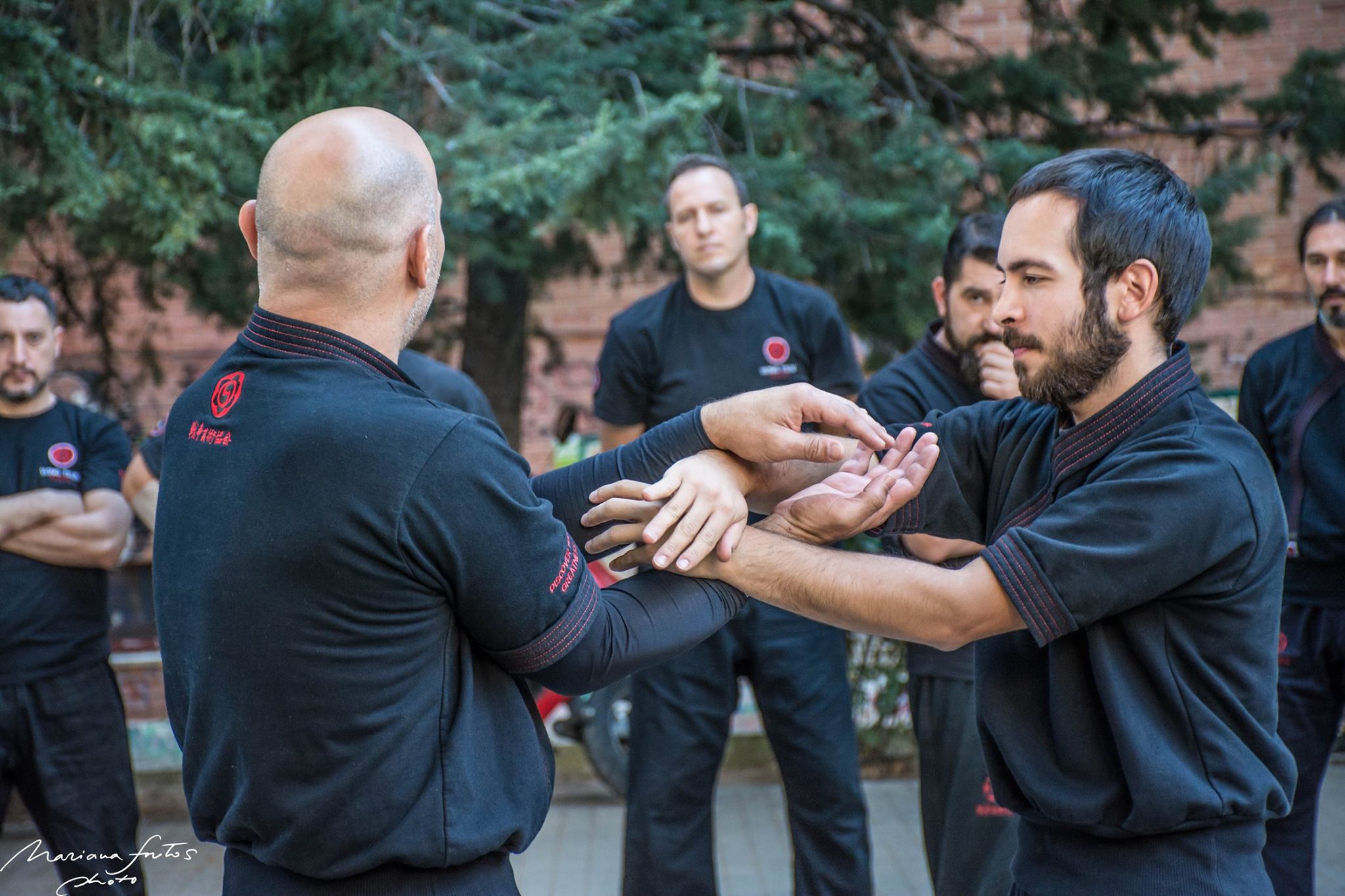 clases wing tsun madrid