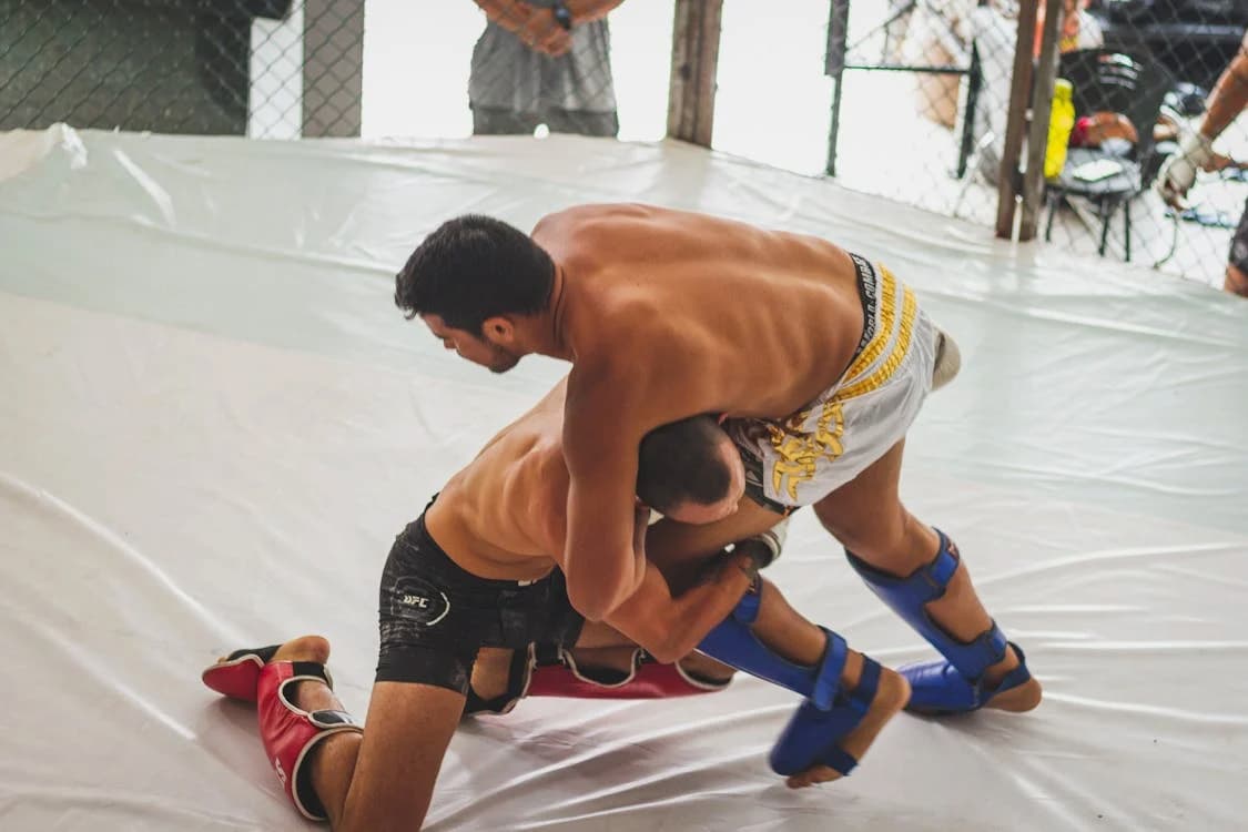 grappling kung fu madrid