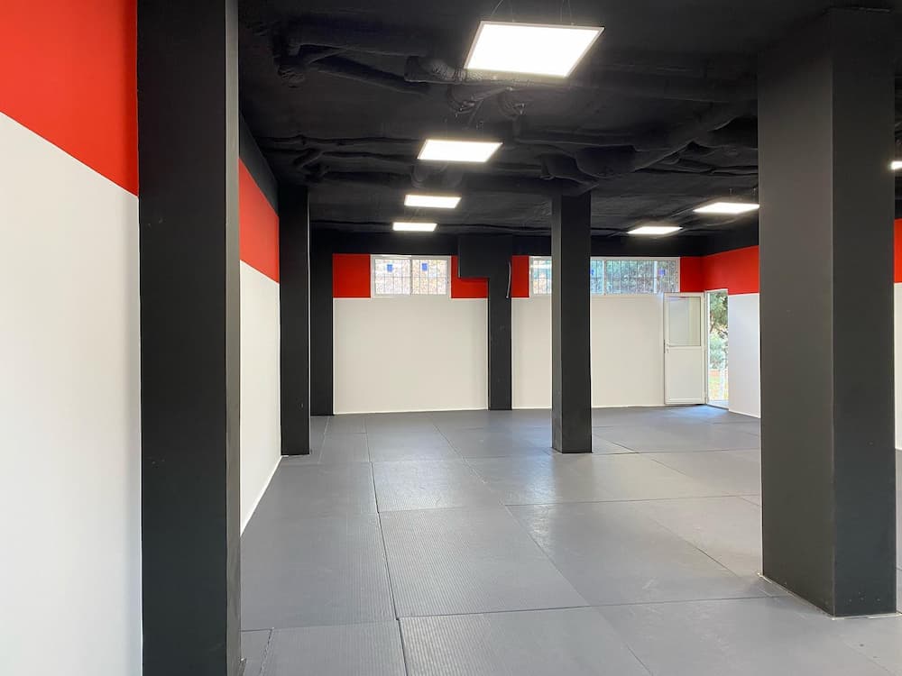 Buscas gimnasio de Wing Chun en Madrid
